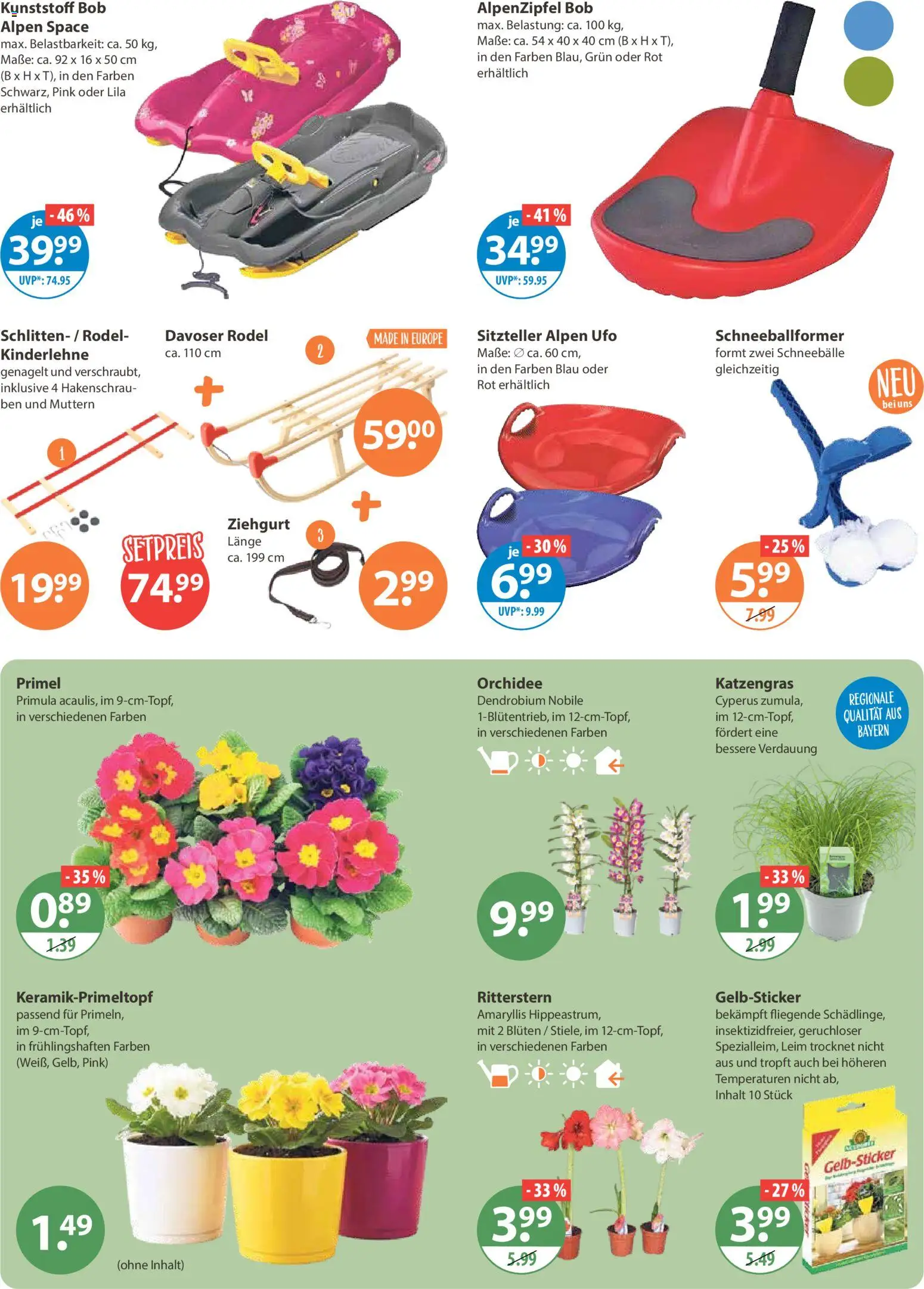 V-Markt - Hallertau / Oberpfalz – gültig ab 02.01.2026 | Seite: 24 | Produkte: Orchidee