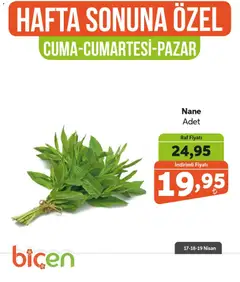 17.04.2026 tarihinden itibaren geçerli olan Biçen Market kataloğu önizlemesi | Sayfa: 8