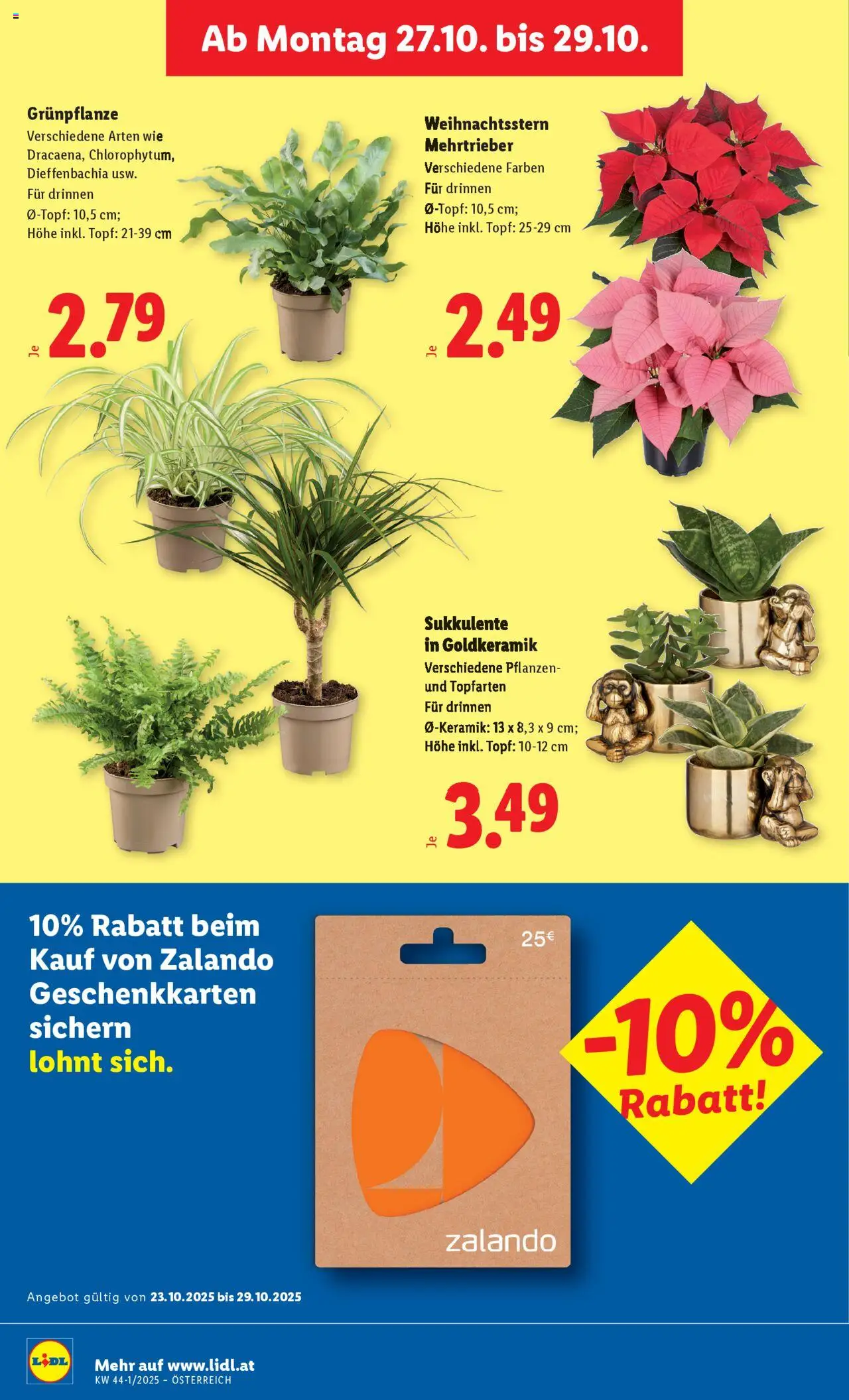 Lidl Flugblatt - Oberpullendorf, Güssing, Oberwart gültig ab 23.10.2025 | Seite: 30