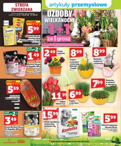 Pogląd oferty "Topaz gazetka - MAZ" - ważna od 26.03.2026 | Strona: 30 | Produkty: Rzeżucha, Łosoś, Doniczki, Wołowina