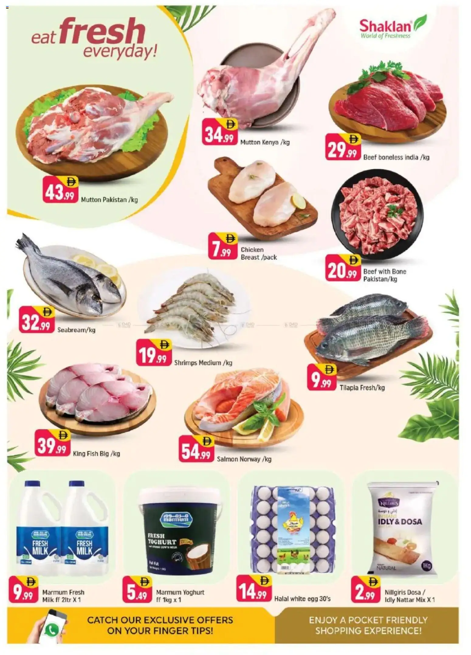 {H1} | Page: 3 | Products: Čokoláda, Schokolade, Хладилник