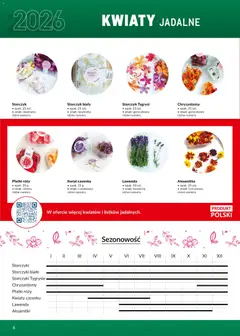 Pogląd oferty "Makro Gazetka - Ultra fresh" - ważna od 01.03.2026 | Strona: 6 | Produkty: Storczyki, Chryzantemy, Storczyk, Płatki