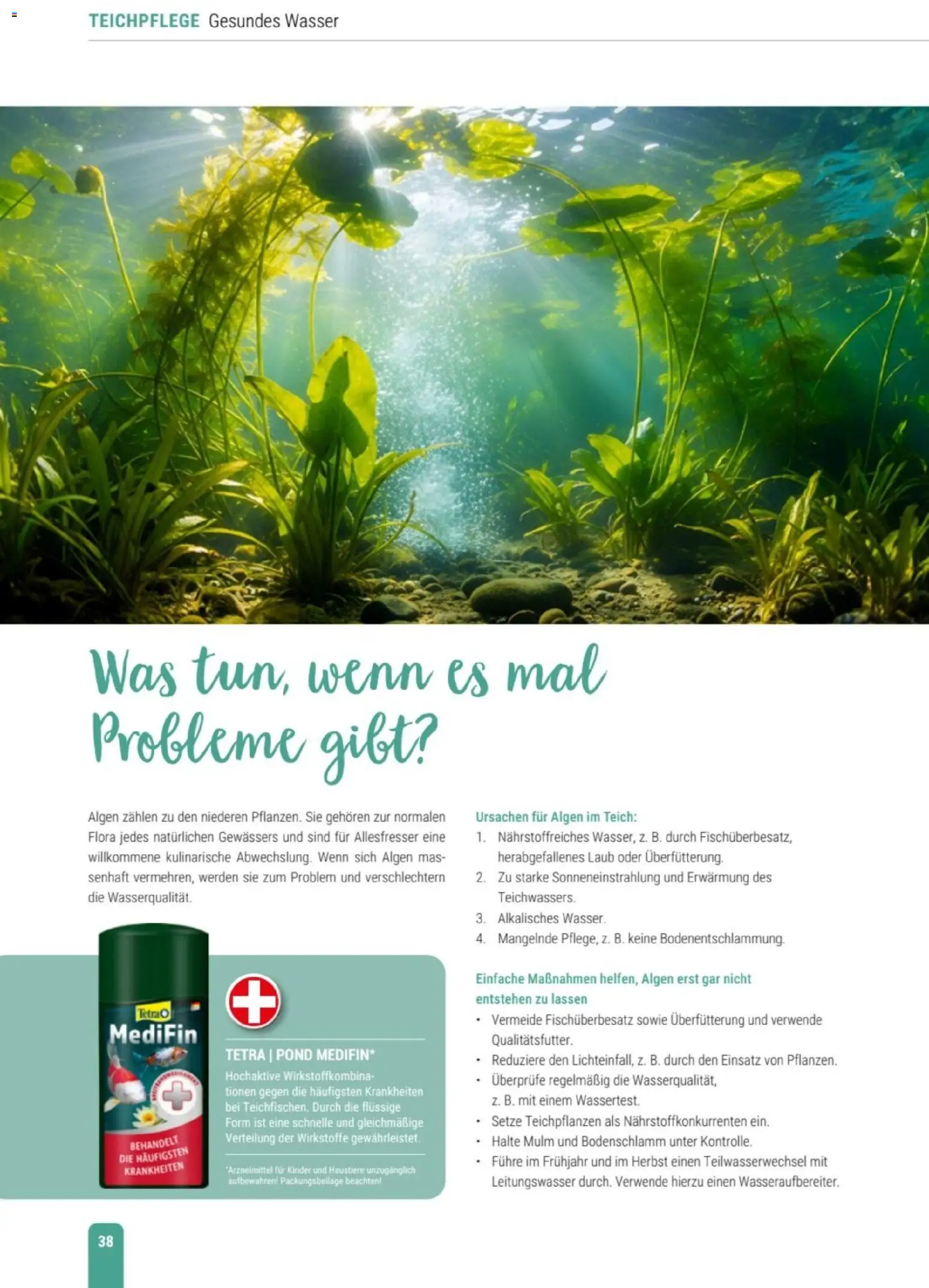 zookauf Themenkatalog Teich – gültig ab 23.03.2026 | Seite: 38 | Produkte: Wasser