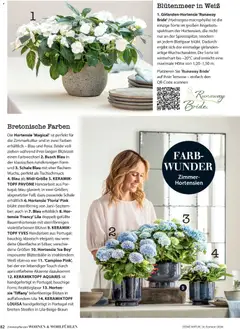 Dehner Prospekt 	 ab 17.04.2026 gültig | Seite: 82 | Produkte: Hortensie