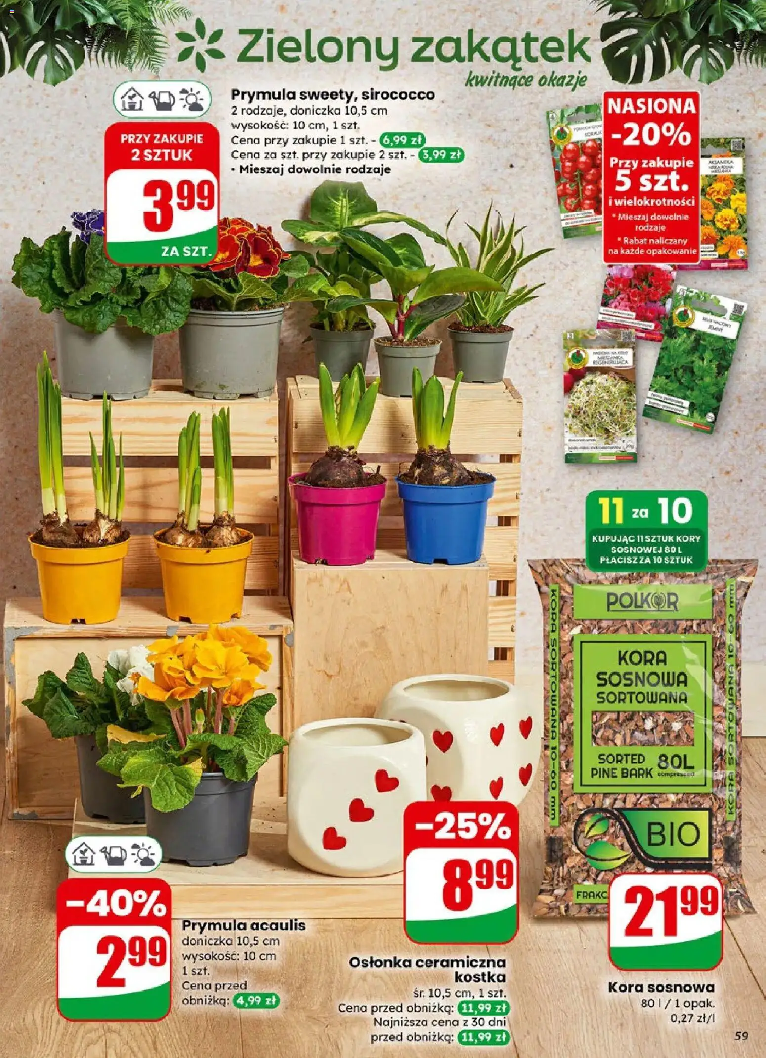 Dino Gazetka od 04.02.2026 | Strona: 59