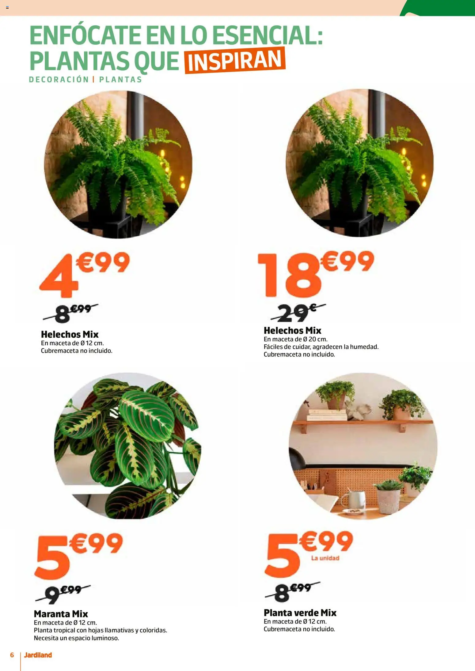 Jardiland folleto │ válido desde el 15.01.2026 | Página: 6 | Productos: Maceta