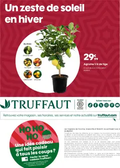 Truffaut - Prévisualisation de Truffaut catalogue valide à partir de 12.12.2025 | Page: 4 | Produits: Citronnier, Kumquat