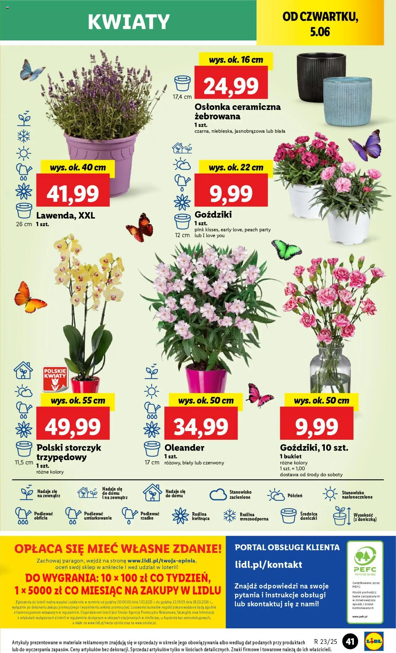 Lidl Gazetka od 05.06.2025 | Strona: 51 | Produkty: Doniczka, Doniczki, Storczyk, Kwiaty