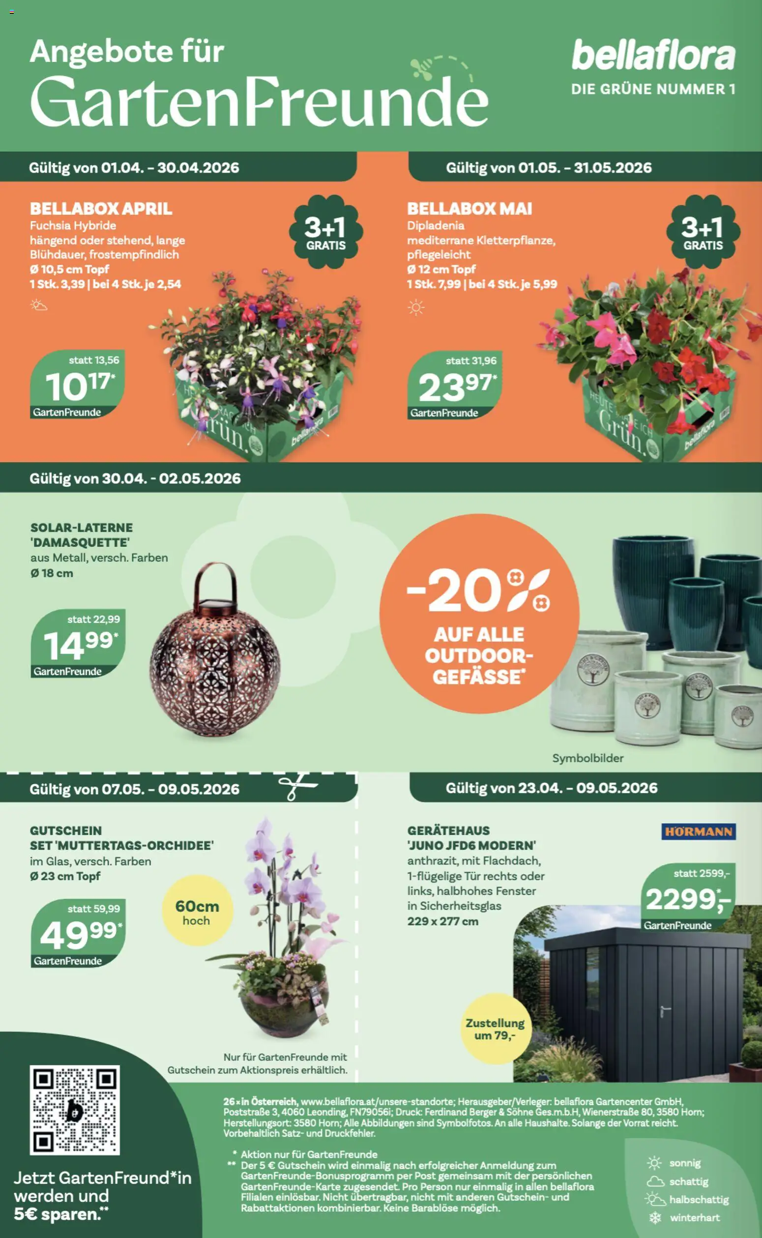 bellaflora Flugblatt gültig ab 23.04.2026 | Seite: 12