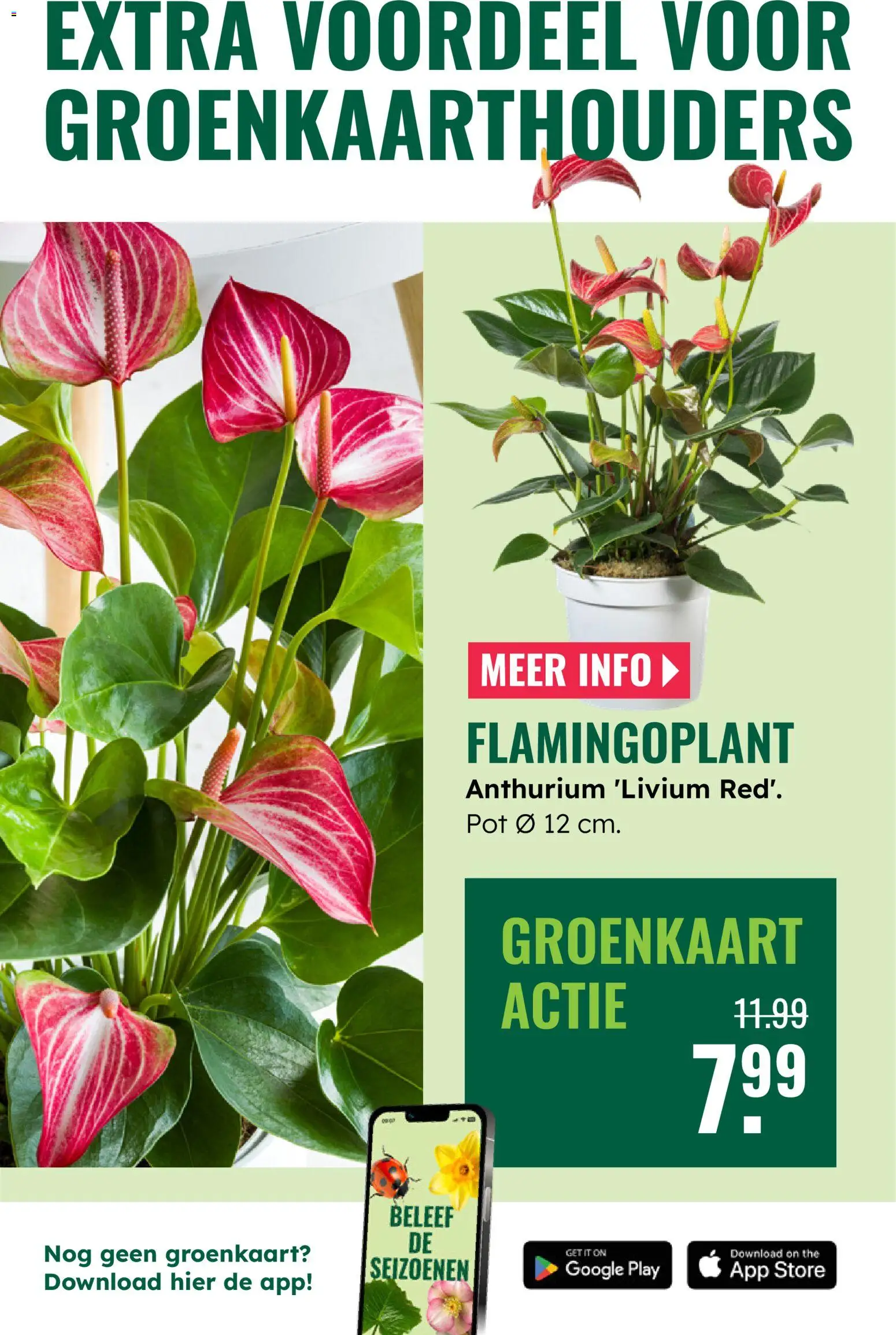 {H1} | Pagina: 7 | Producten: Pot