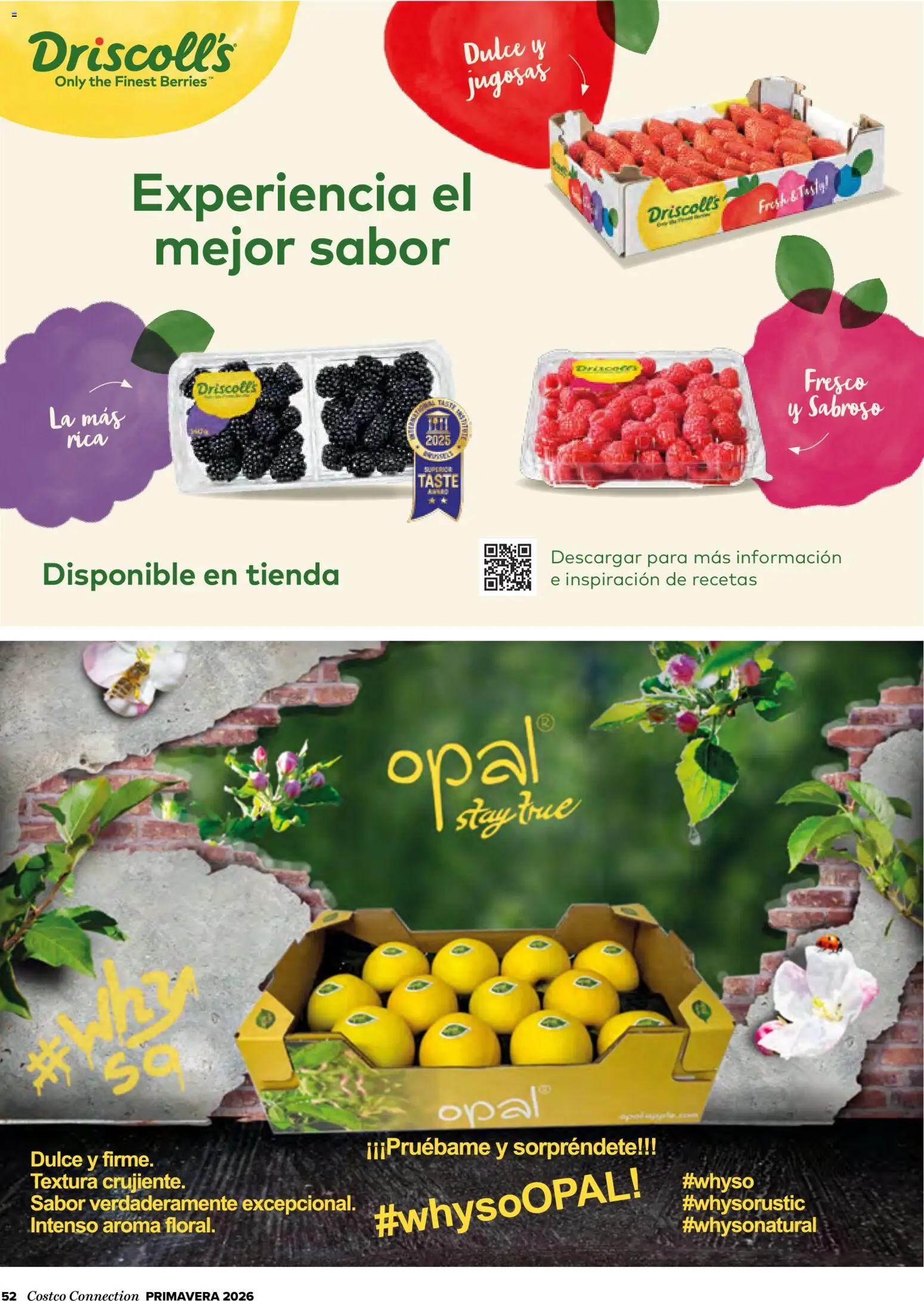 Costco catálogo │ válido desde el 19.03.2026 | Página: 52