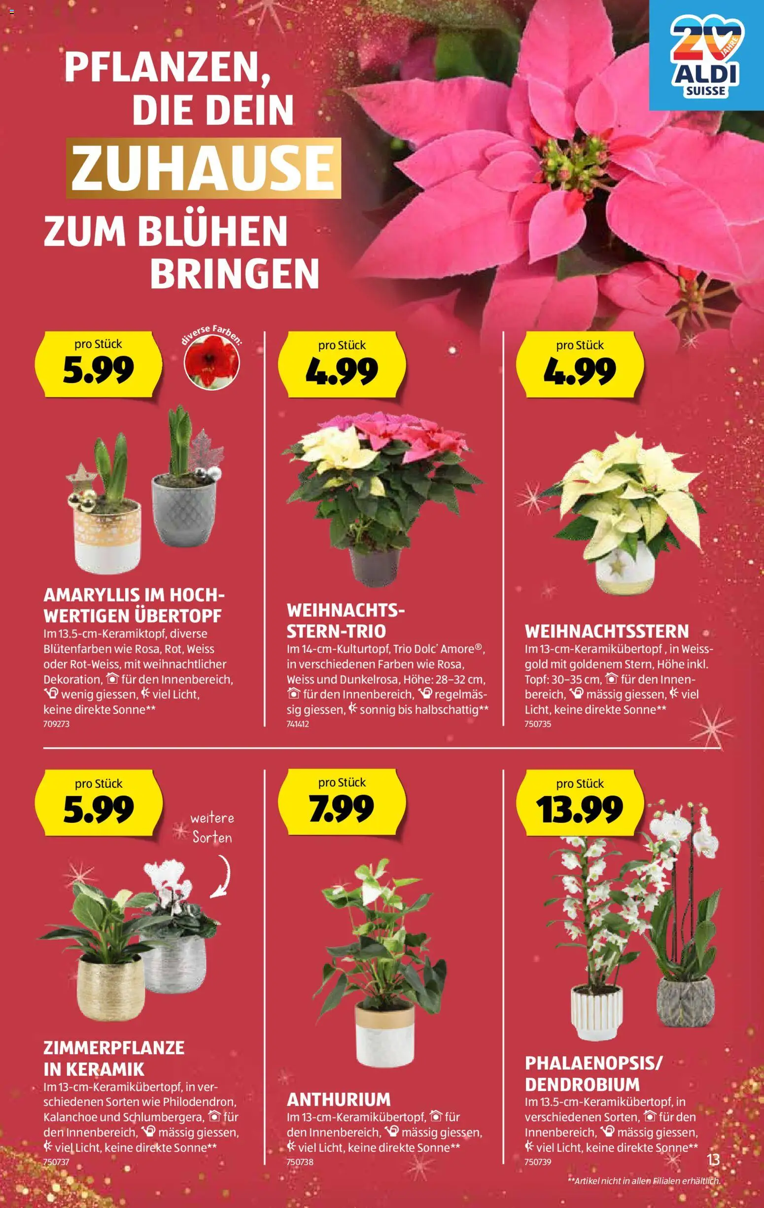 Aldi Aktionen – gültig ab 04.12.2025 | Seite: 14