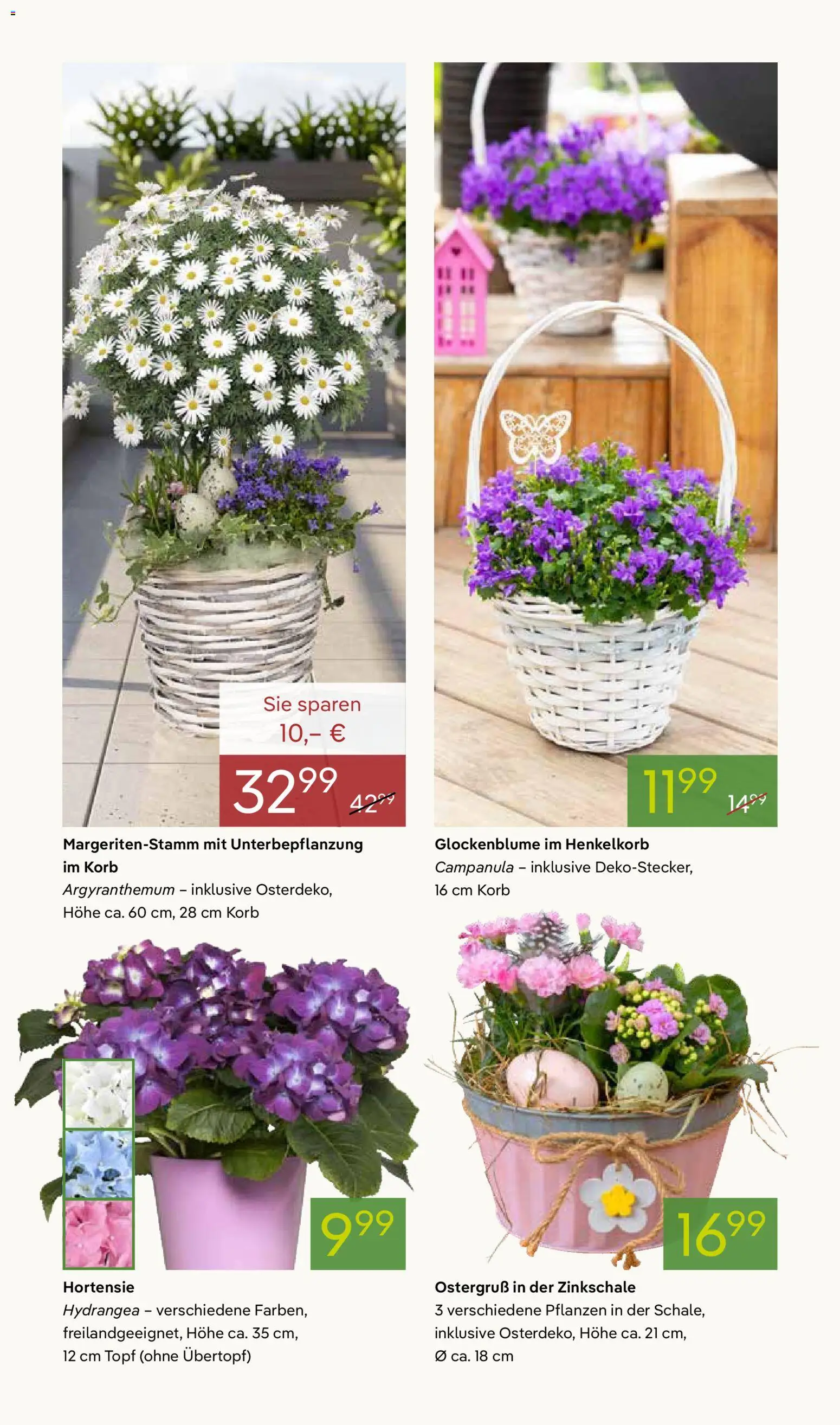 Pflanzen-Kölle Prospekt 	 | 30.03.2026 | Wie erhält man einen begrenzten Rabatt? | Deutschland