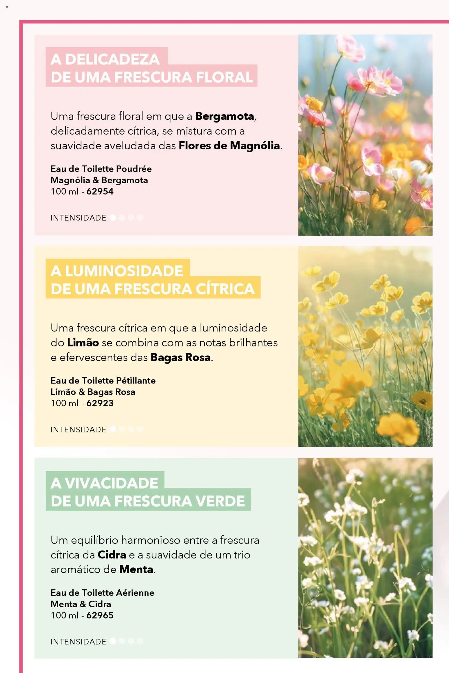 Yves Rocher catálogo 6 │ válido de 17.04.2026 | Página: 4 | Produtos: Flores, Eau de toilette