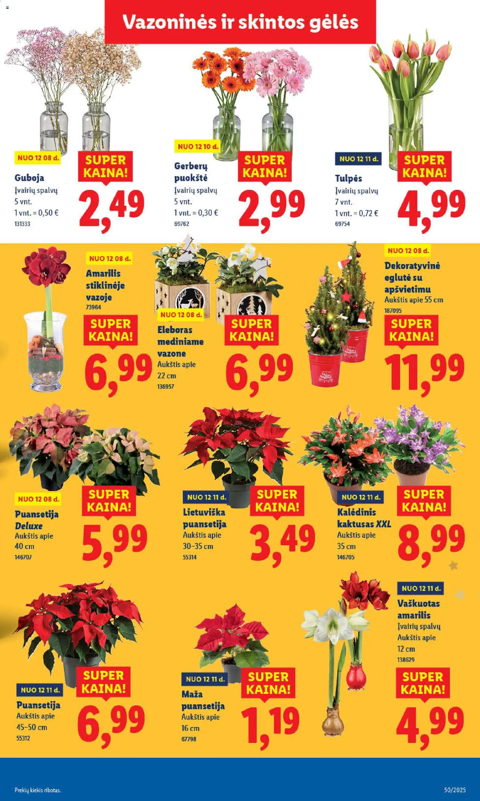 LIDL akcijos nuo 08.12.2025 | Puslapis: 45
