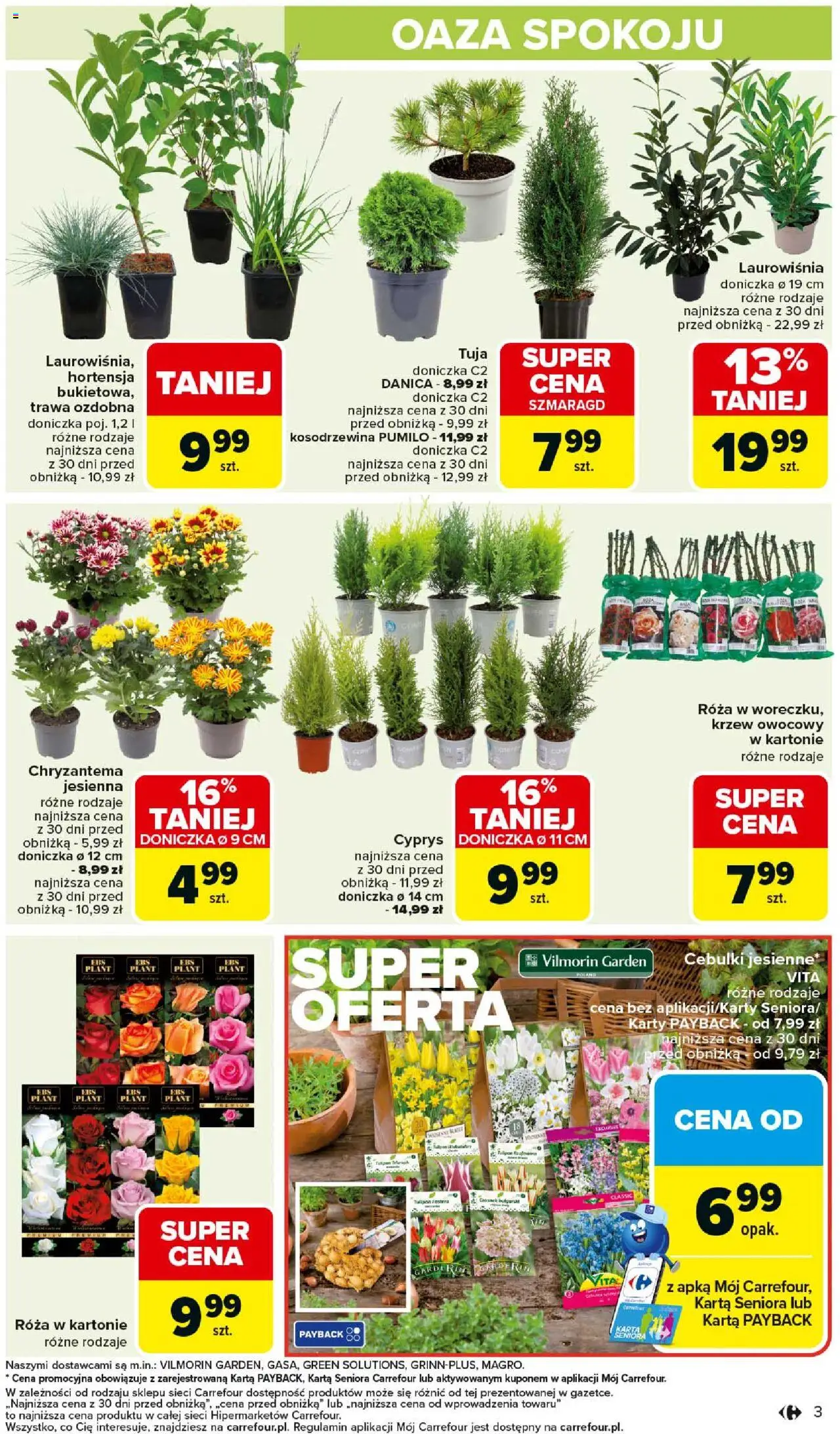 Carrefour Gazetka - Łap okazje od 11.09.2025 | Strona: 3 | Produkty: Karta, Doniczka