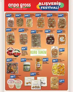 01.11.2025 tarihinden itibaren geçerli olan Anpa Gross kataloğu önizlemesi | Sayfa: 9