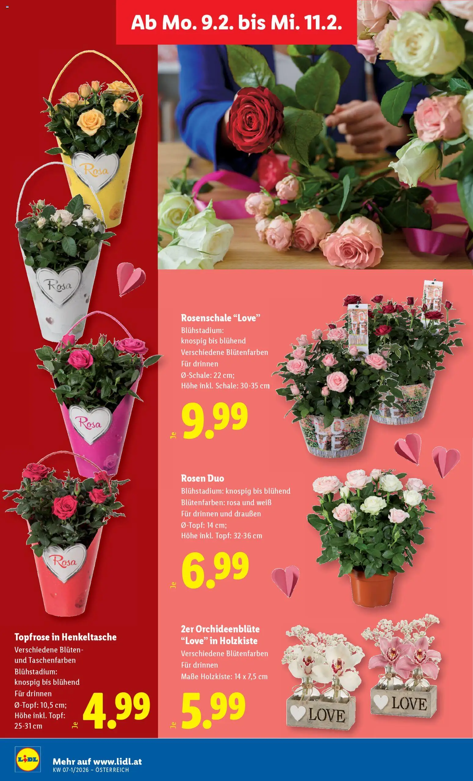 Lidl Flugblatt gültig ab 05.02.2026 | Seite: 30