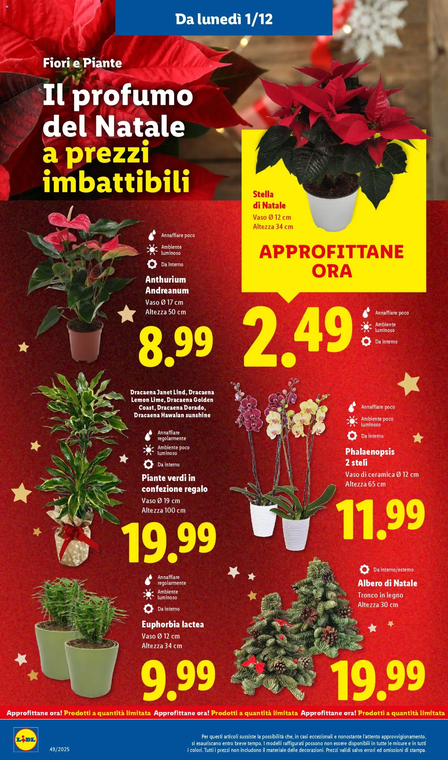 Volantino Lidl del 01.12.2025 | Pagina: 46 | Prodotti: Albero di natale, Vaso, Profumo
