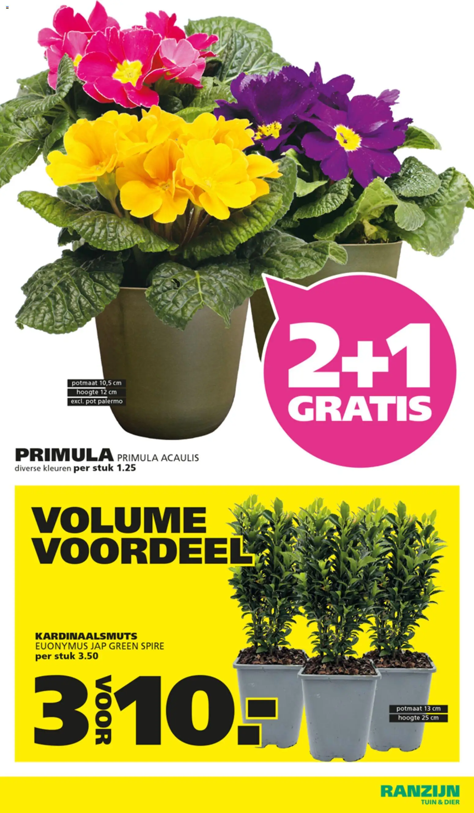 {H1} | Pagina: 7 | Producten: Pot