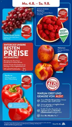 Aldi Süd Prospekt 	 - gültig ab dem 04.08.2025 | Seite: 5 | Produkte: Top, Haartrockner, Bekleidung, Hose
