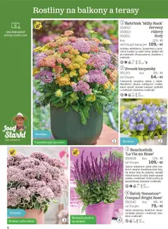 Starkl katalog podzim 2025 od 01.08.2025 | Strana: 6