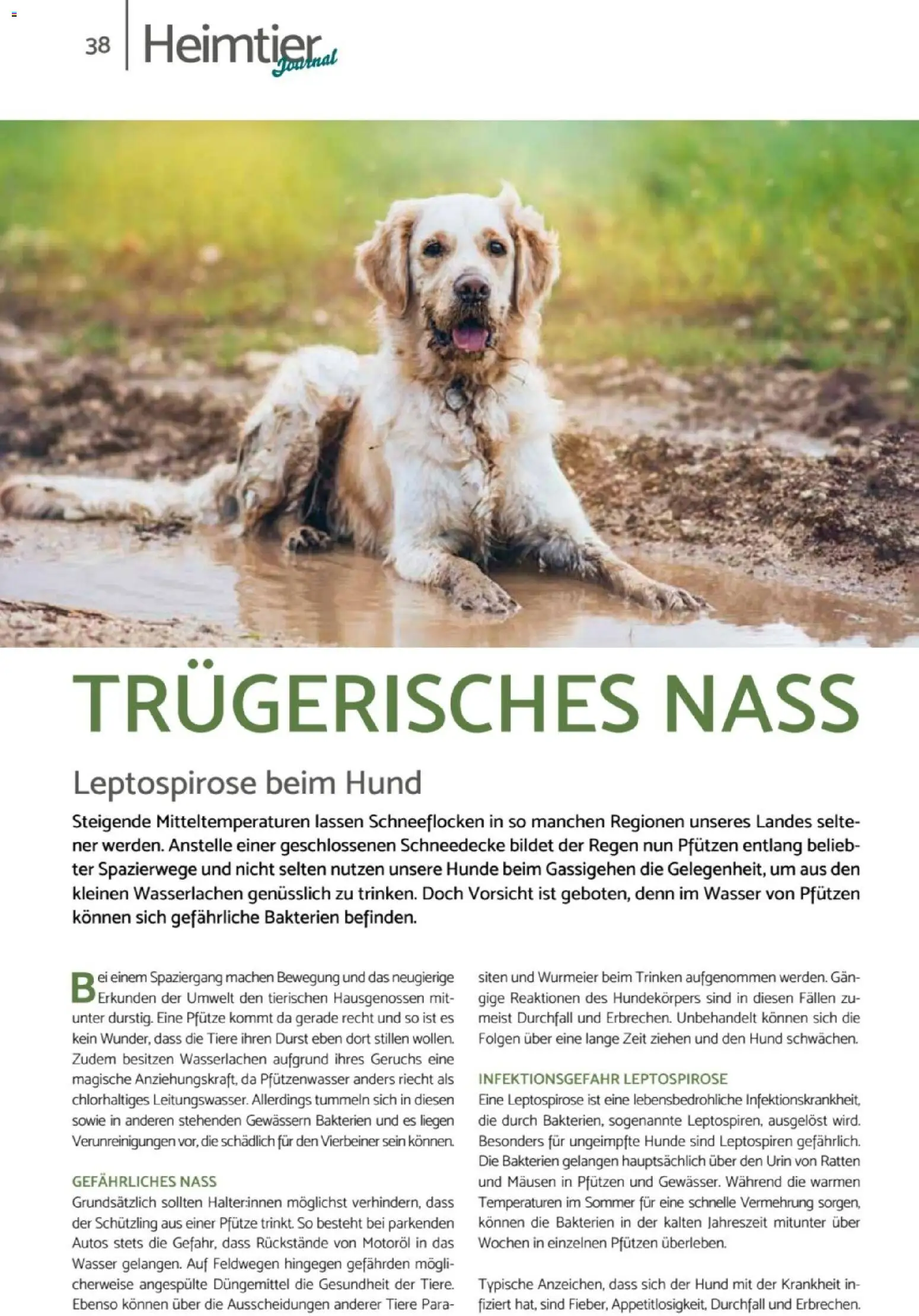 zookauf  Heimtier Journal – gültig ab 01.02.2026 | Seite: 38 | Produkte: Wasser