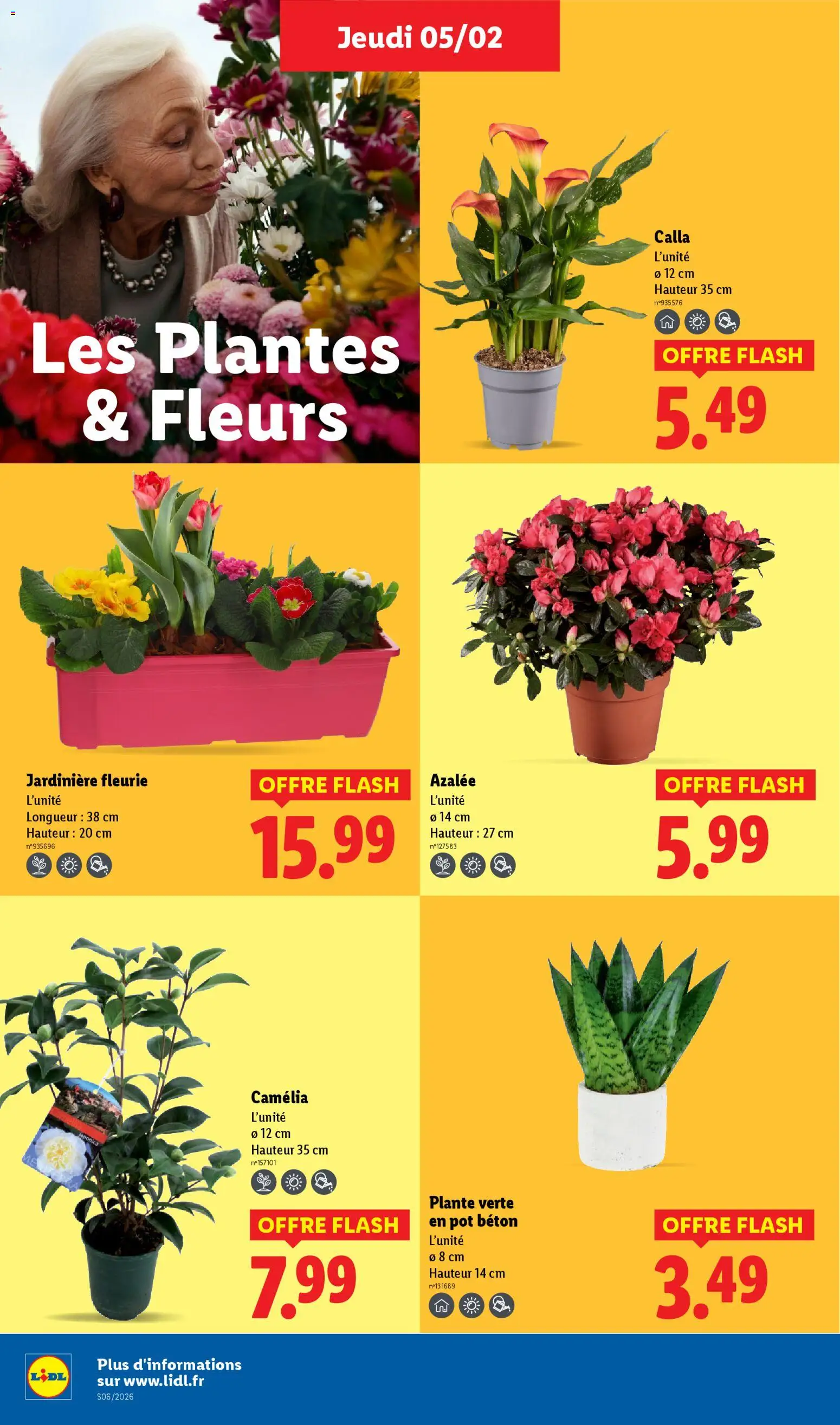 {H1} | Page: 30 | Produits: Camelia, Plantes, Jardinière, Plante verte