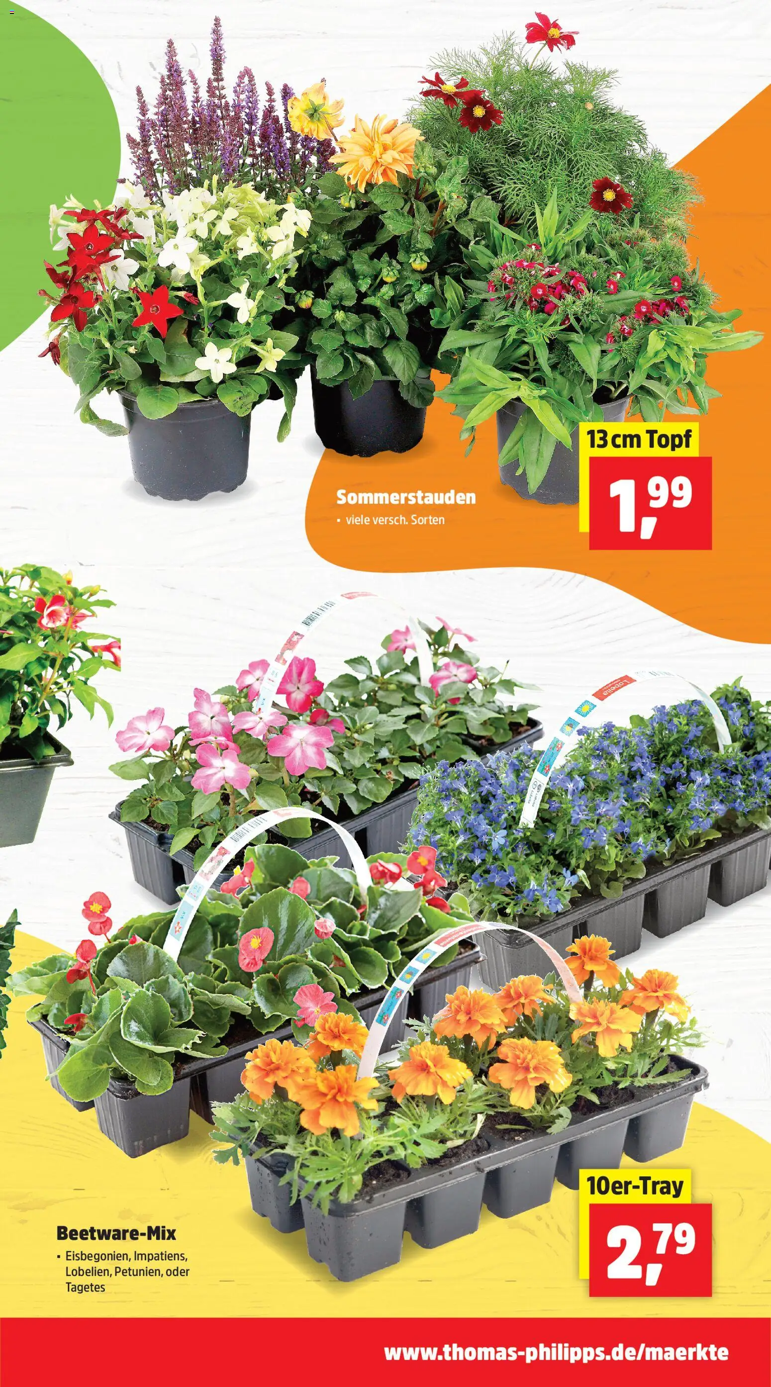 Thomas Philipps Prospekt 	 – gültig ab 13.04.2026 | Seite: 7