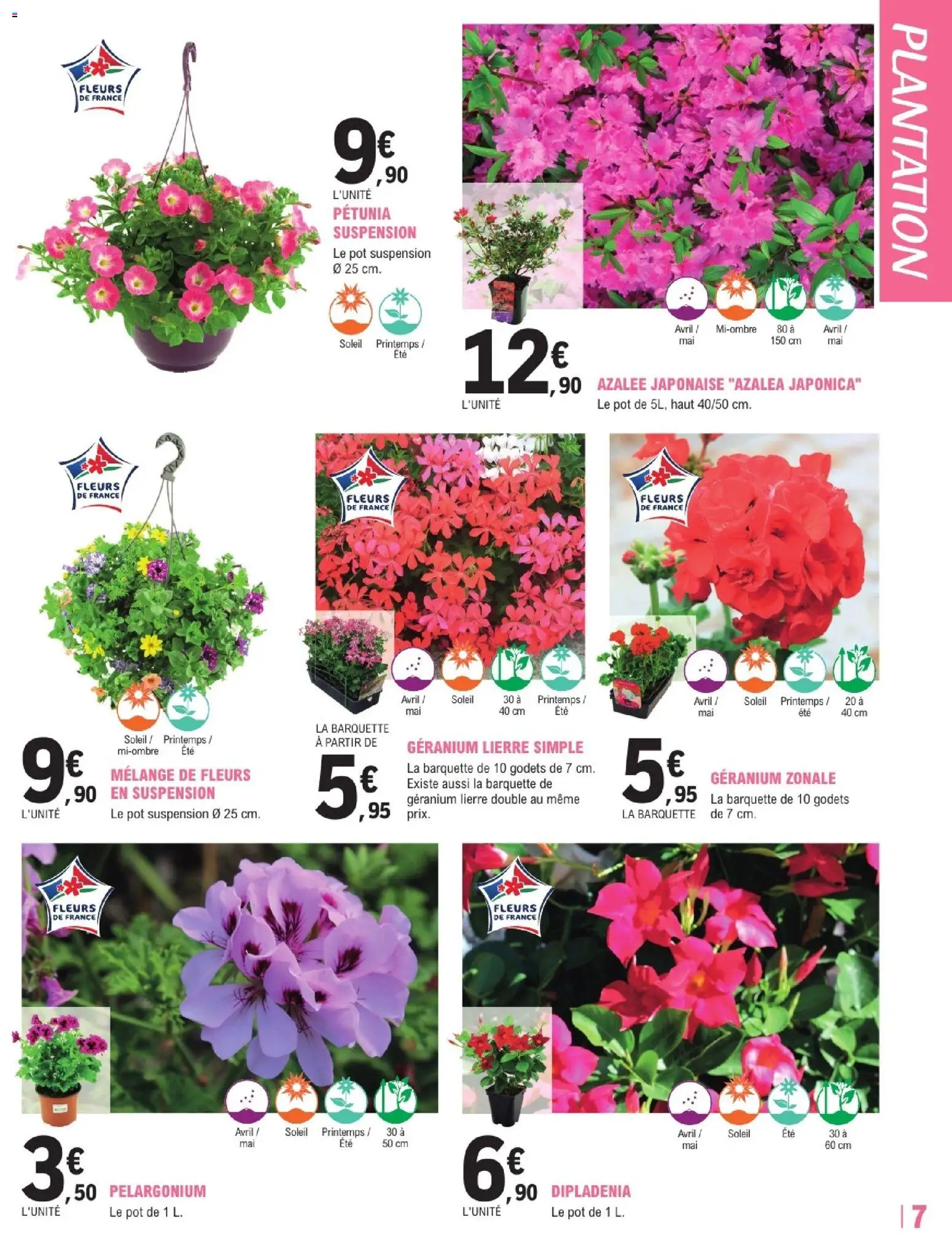 {H1} | Page: 7 | Produits: Dipladénia, Suspension, Géranium