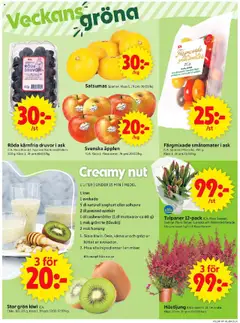 ICA Supermarket reklamblad aktuell från 15.09.2025 | Sida: 4 | Produkter: Cashewnötter, Yoghurt, Tomater, Te