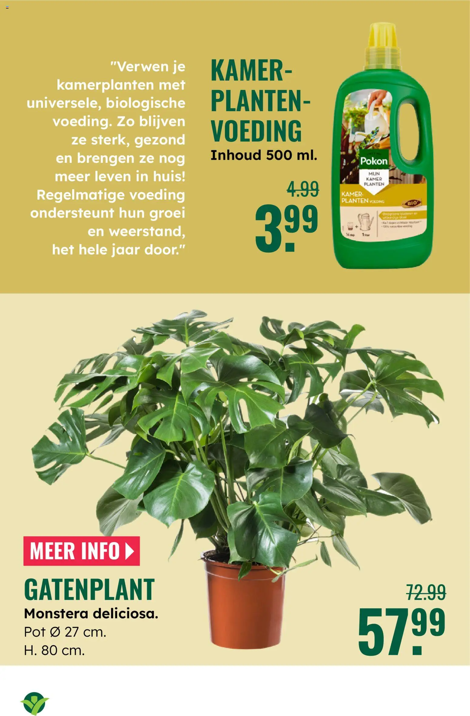 {H1} | Pagina: 9 | Producten: Pot, Kamerplanten