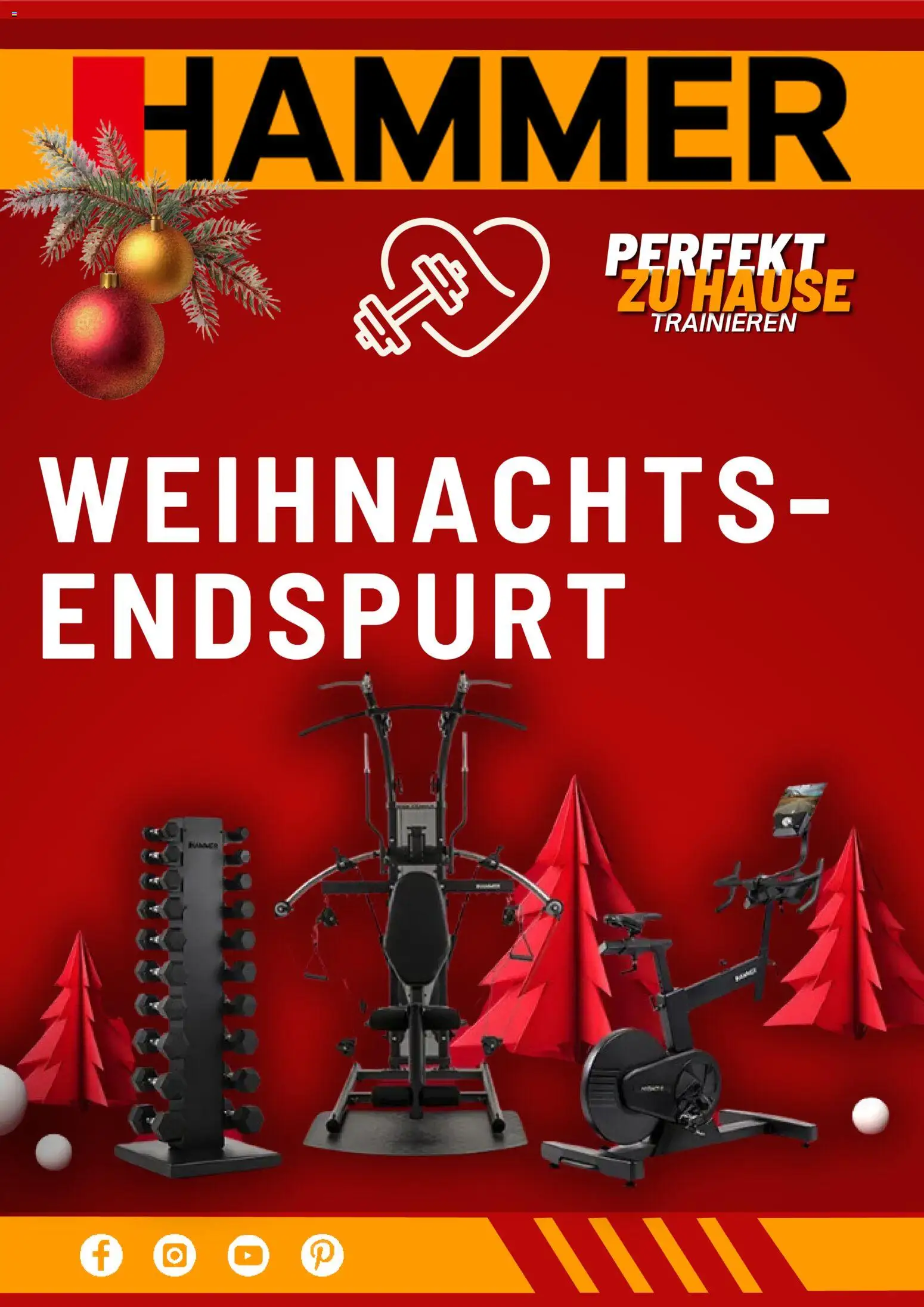 Hammer Prospekt 	 – gültig ab 08.12.2025 | Seite: 1