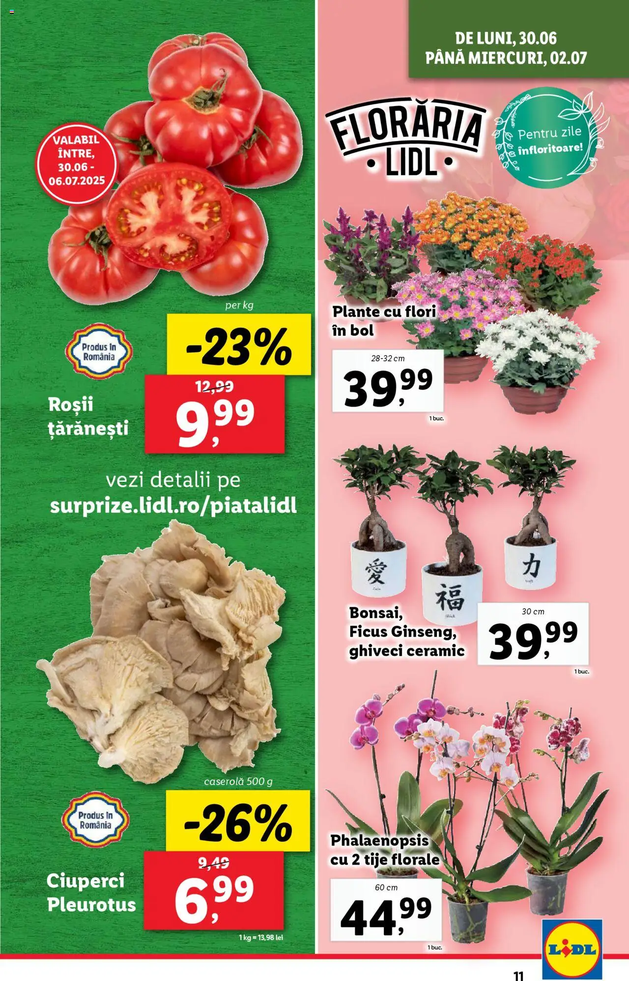 Catalog Lidl – valabil de la 30.06.2025 | Pagină: 11 | Produse: Bol, Ghiveci, Ciuperci, Roșii