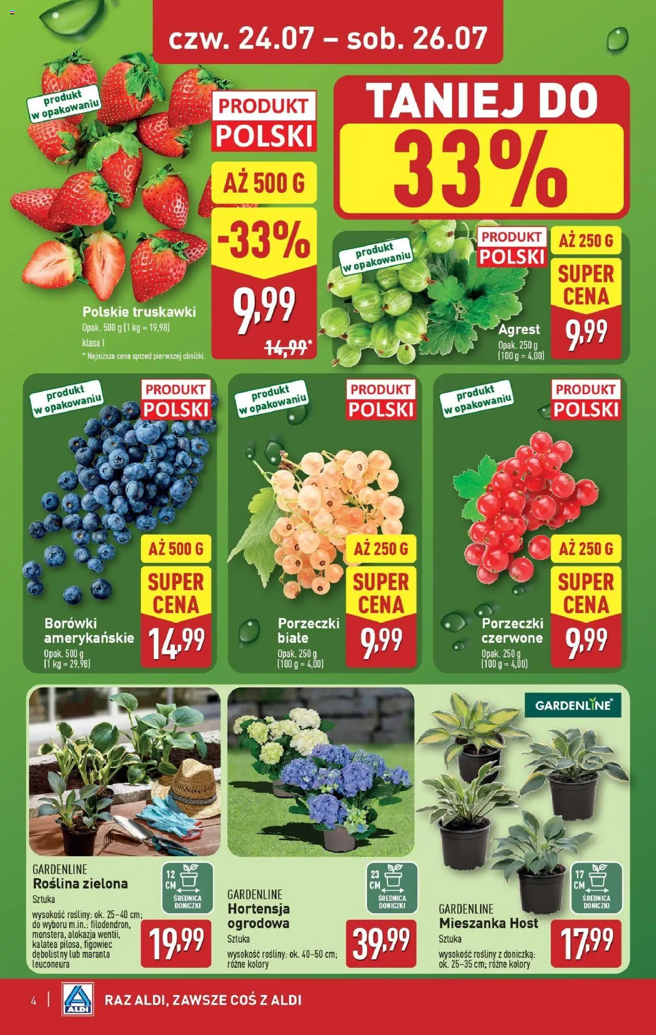 Aldi Gazetka - Okazje na weekend od 24.07.2025 | Strona: 4 | Produkty: Kalatea, Agrest, Doniczki, Truskawki