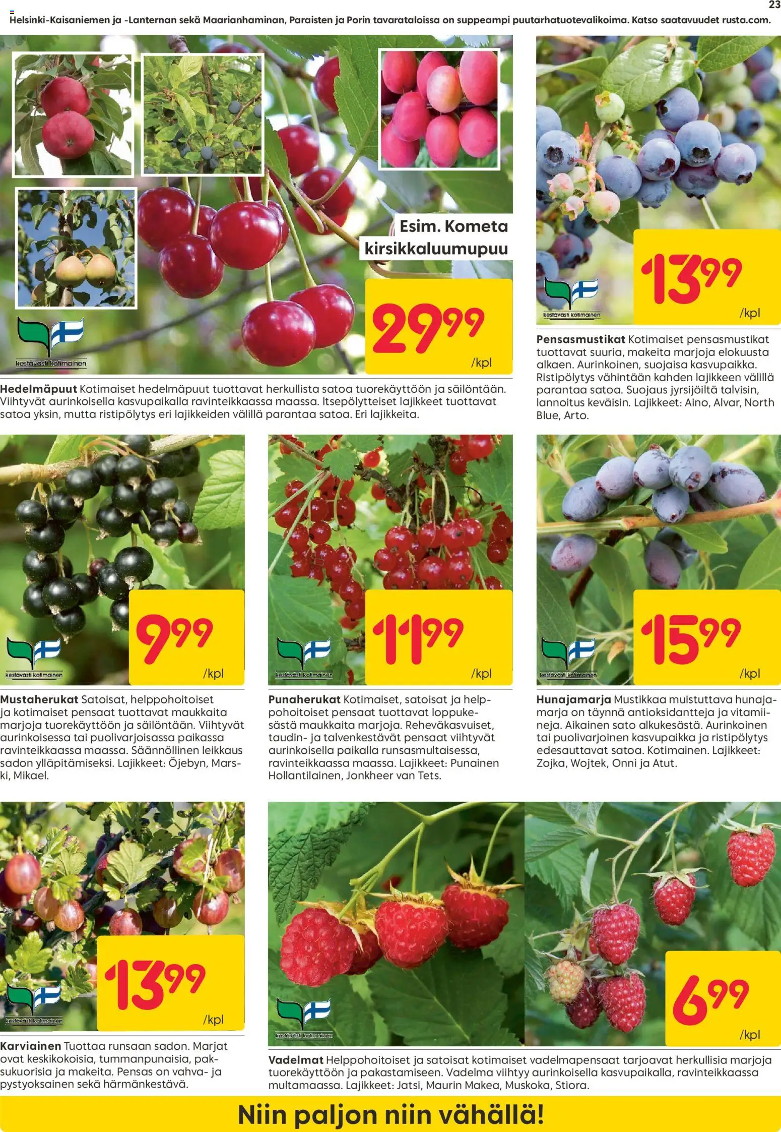 Rusta tarjoukset – voimassa 13.04.2026 alkaen | Sivu: 23 | Tuotteet: Vadelma, Vadelmat, Hedelmäpuut, Hunaja