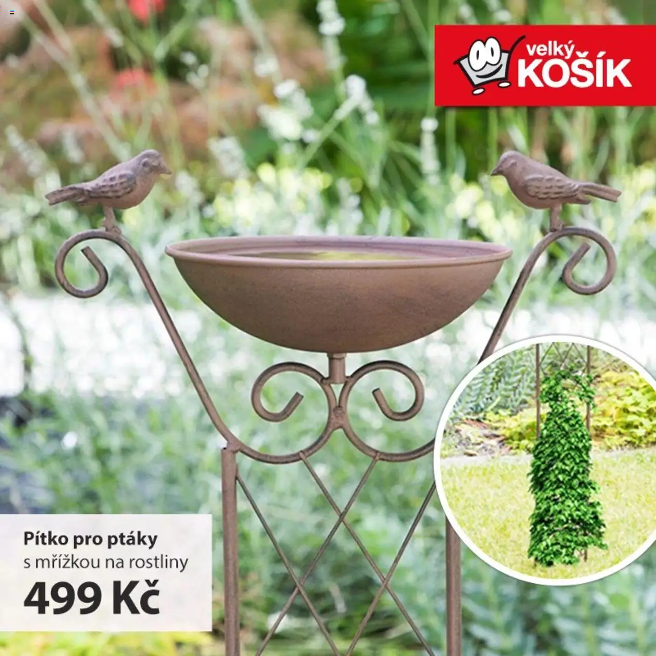 Velký Košík nabídka od 01.08.2025 | Strana: 1 | Produkty: Košík, Rostliny