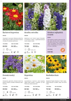 Náhled letáku Starkl katalog od 25.02.2026 | Strana: 69 | Produkty: Zahrada, Zvonek, Hrozny