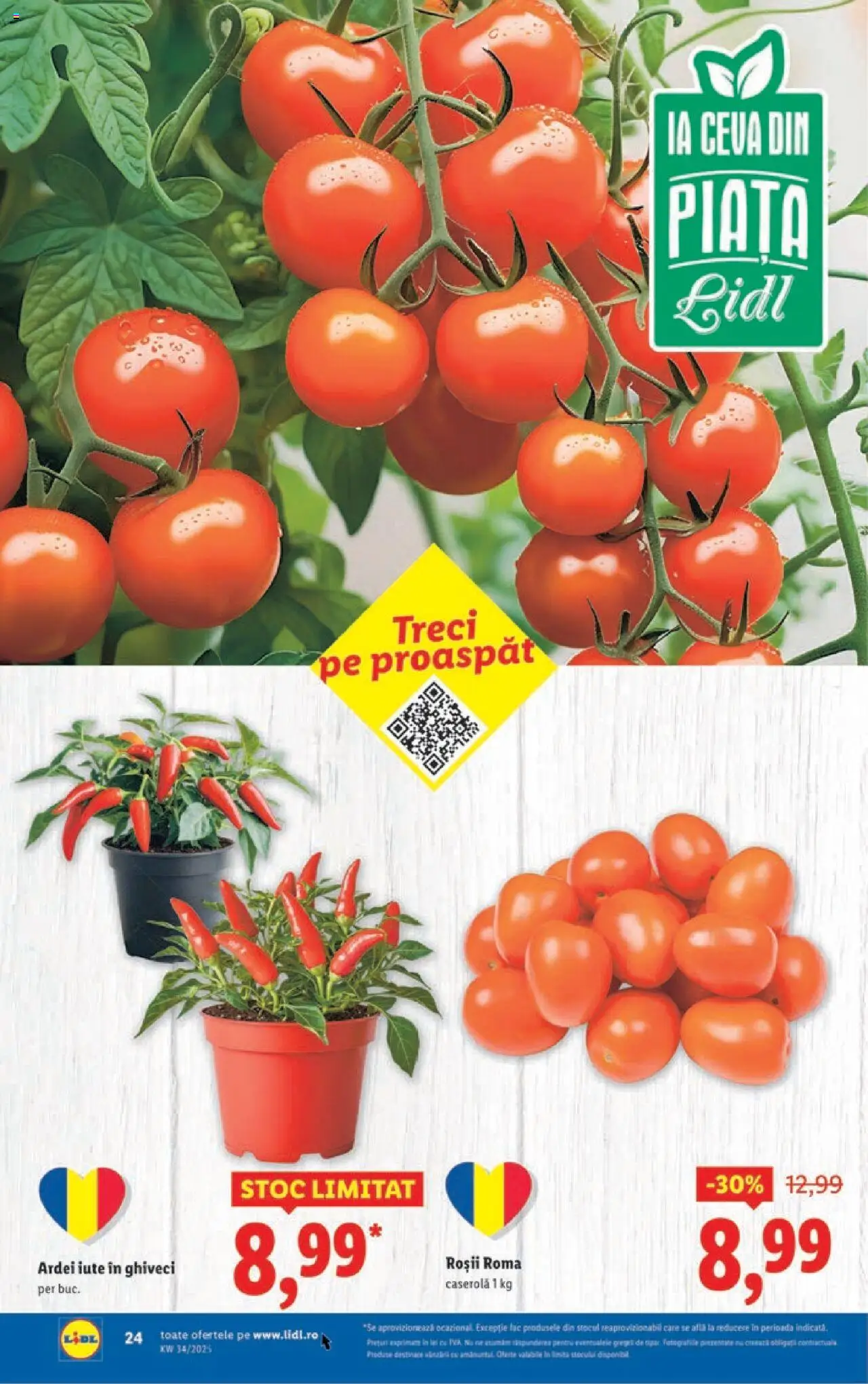 Catalog Lidl – valabil de la 18.08.2025 | Pagină: 24 | Produse: Ghiveci, Ardei, Ardei iute, Roșii
