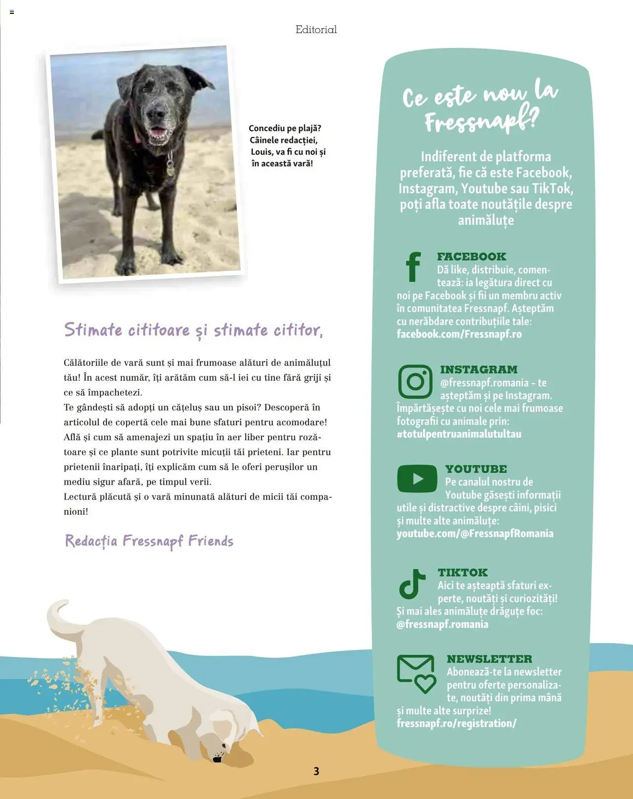 Catalog Fressnapf - Vară – valabil de la 05.05.2025 | Pagină: 3 | Produse: Șal