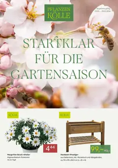 Pflanzen-Kölle - Pflanzen-Kölle: Startklar für die Gartensaison ab 23.03.2026 gültig