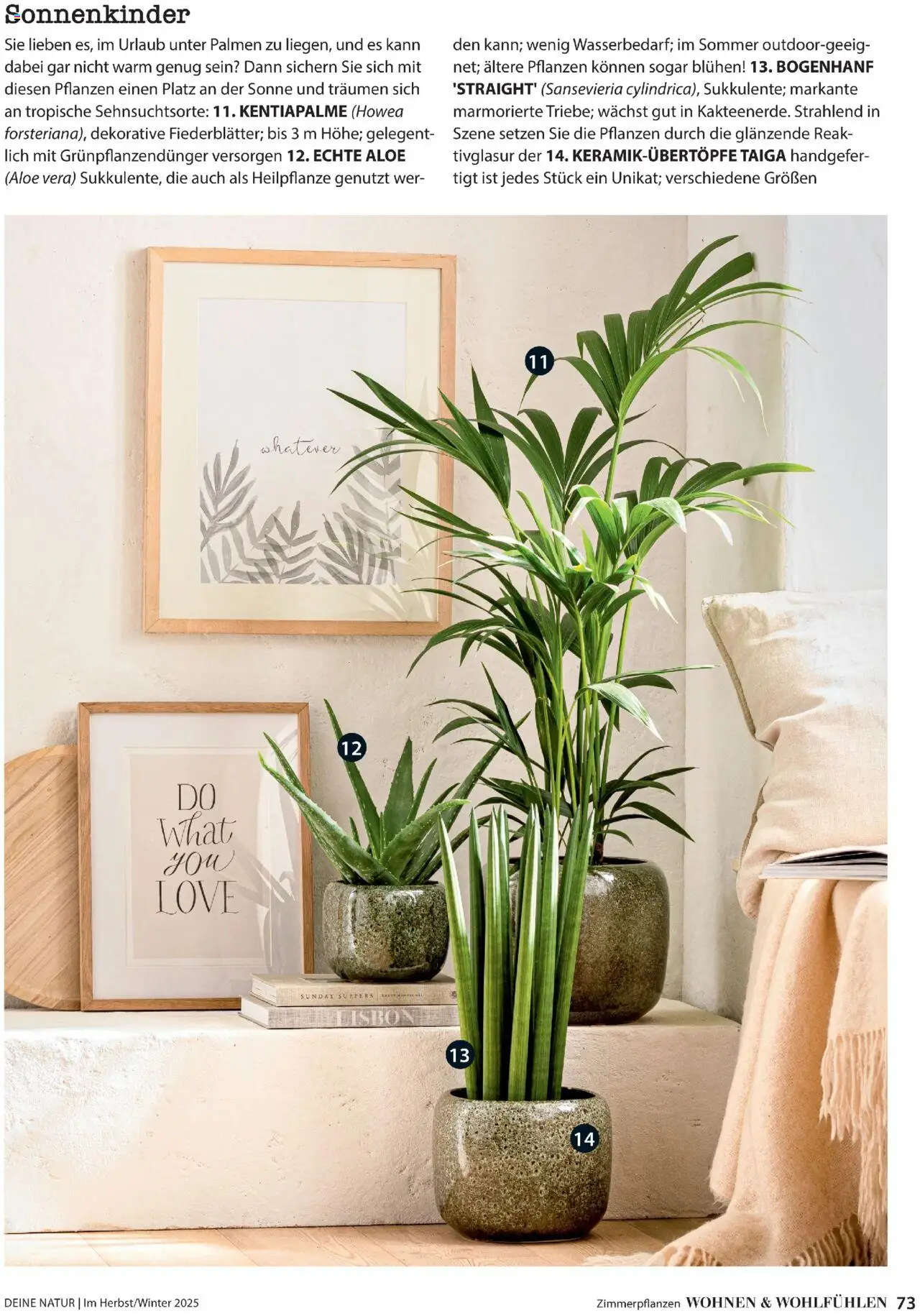 Dehner  Flugblatt gültig ab 10.10.2025 | Seite: 73