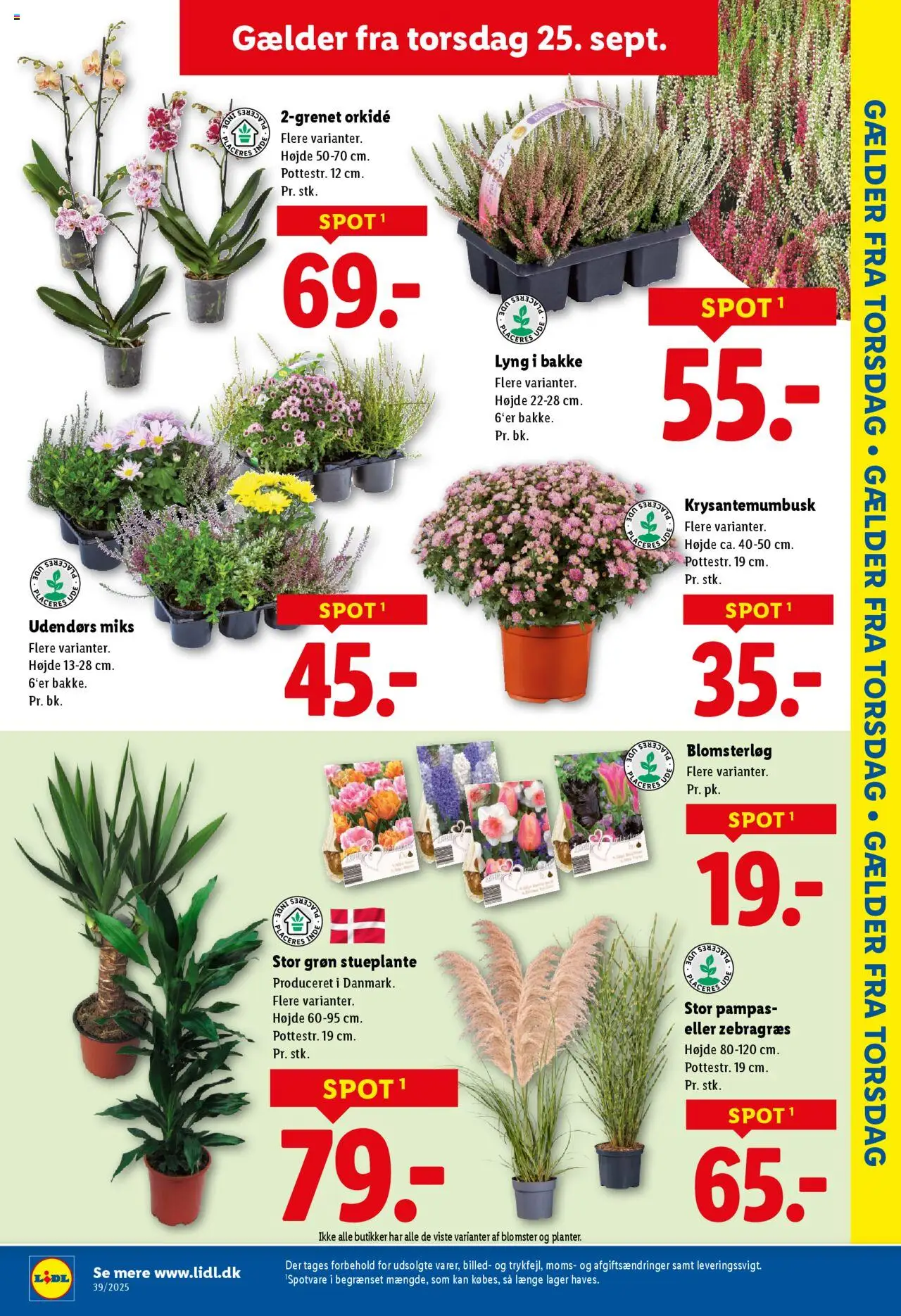 Lidl tilbudsavis – gyldig fra 21.09.2025 | Side: 29 | Produkter: Søm
