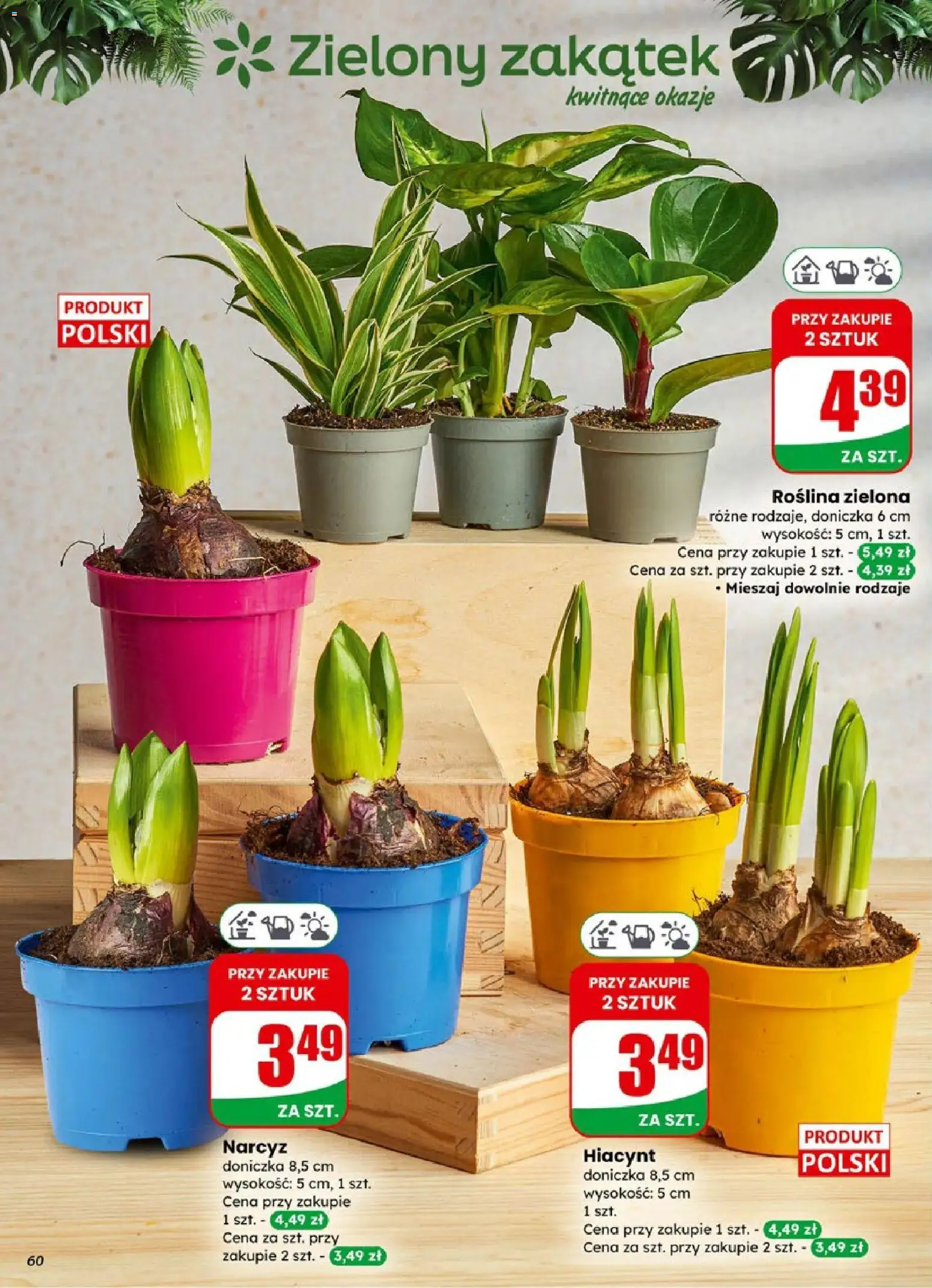 Dino Gazetka od 04.02.2026 | Strona: 60