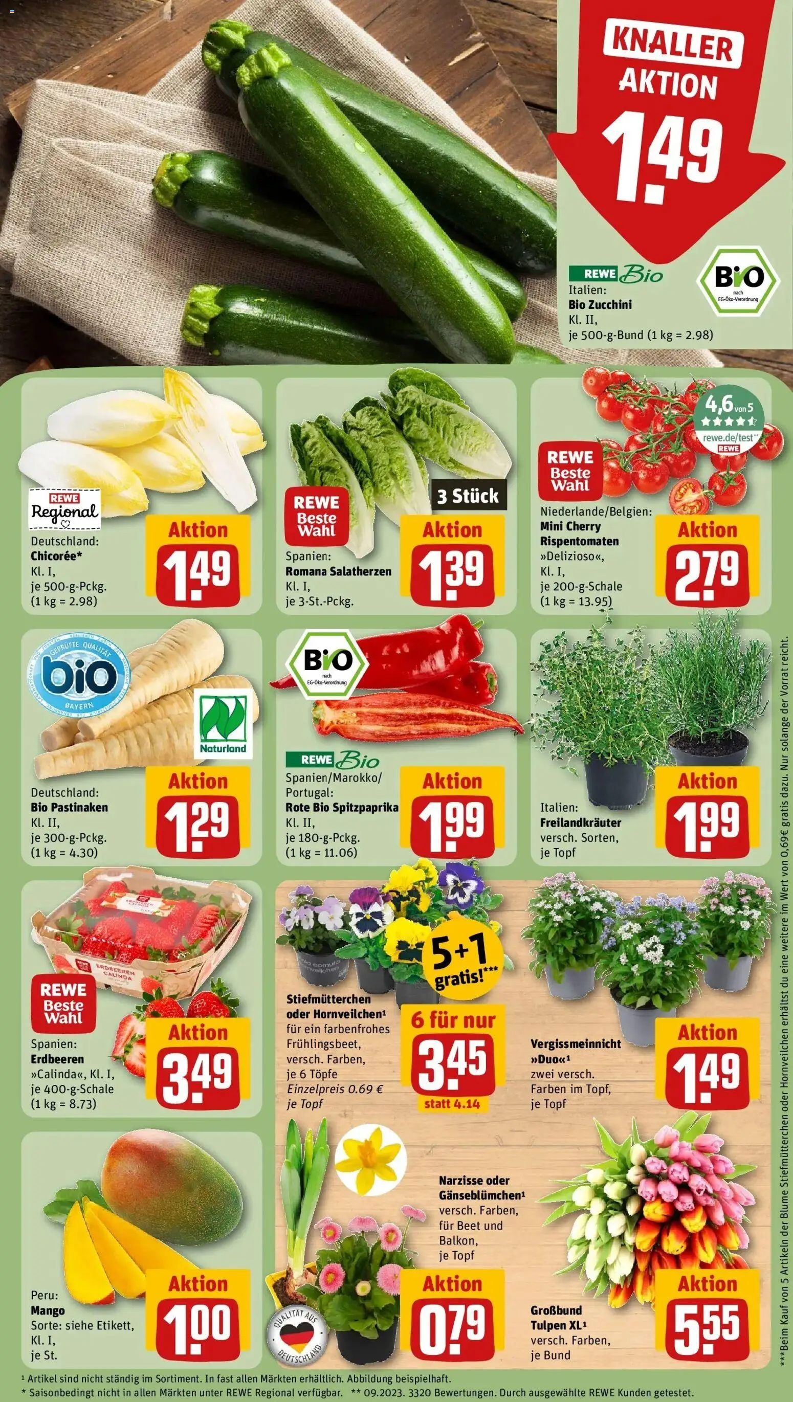 Rewe Prospekt Ebelsbach	 – gültig ab 15.03.2026 | Seite: 9 | Produkte: Stiefmutterchen, Mango, Zucchini, Erdbeeren