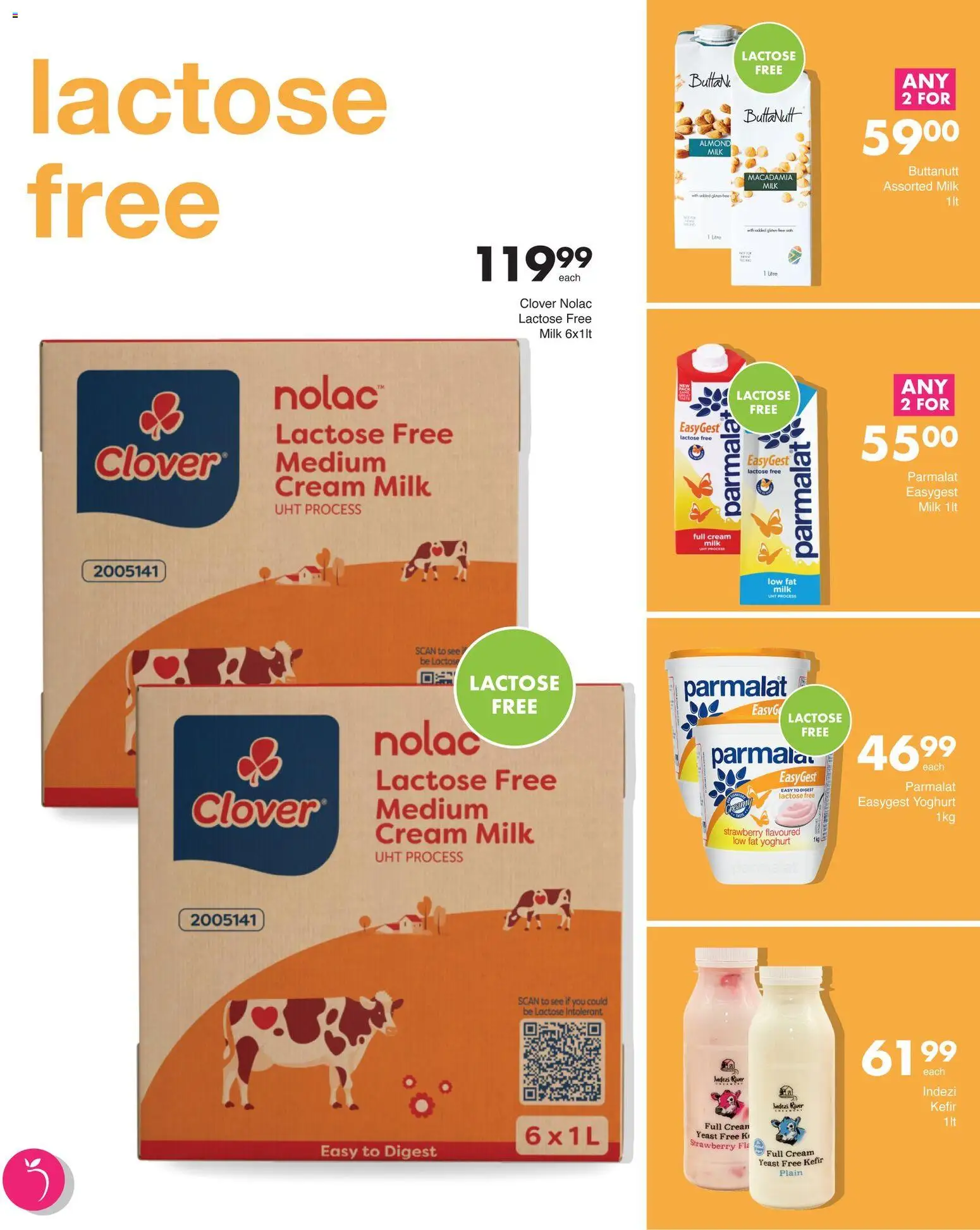 New Save catalogue – valid from 12.02.2026 | Page: 5 | Products: Yoghurt, Milk, Cream