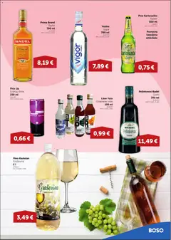 Boso Katalog - Pregled kataloga iz trgovine Boso, vrijedi od 09.04.2026 | Stranica: 13