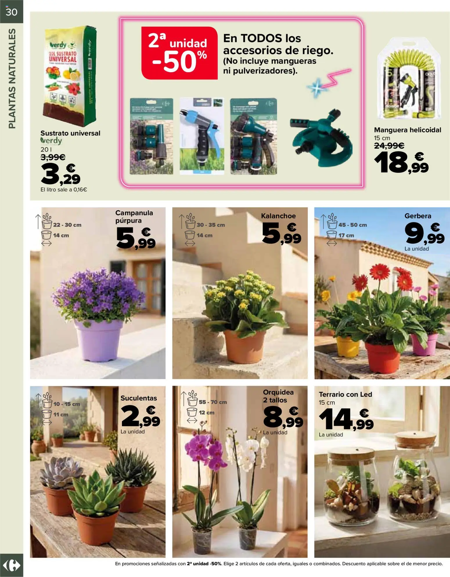 Carrefour Jardin │ válido desde el 14.04.2026 | Página: 30 | Productos: Manguera