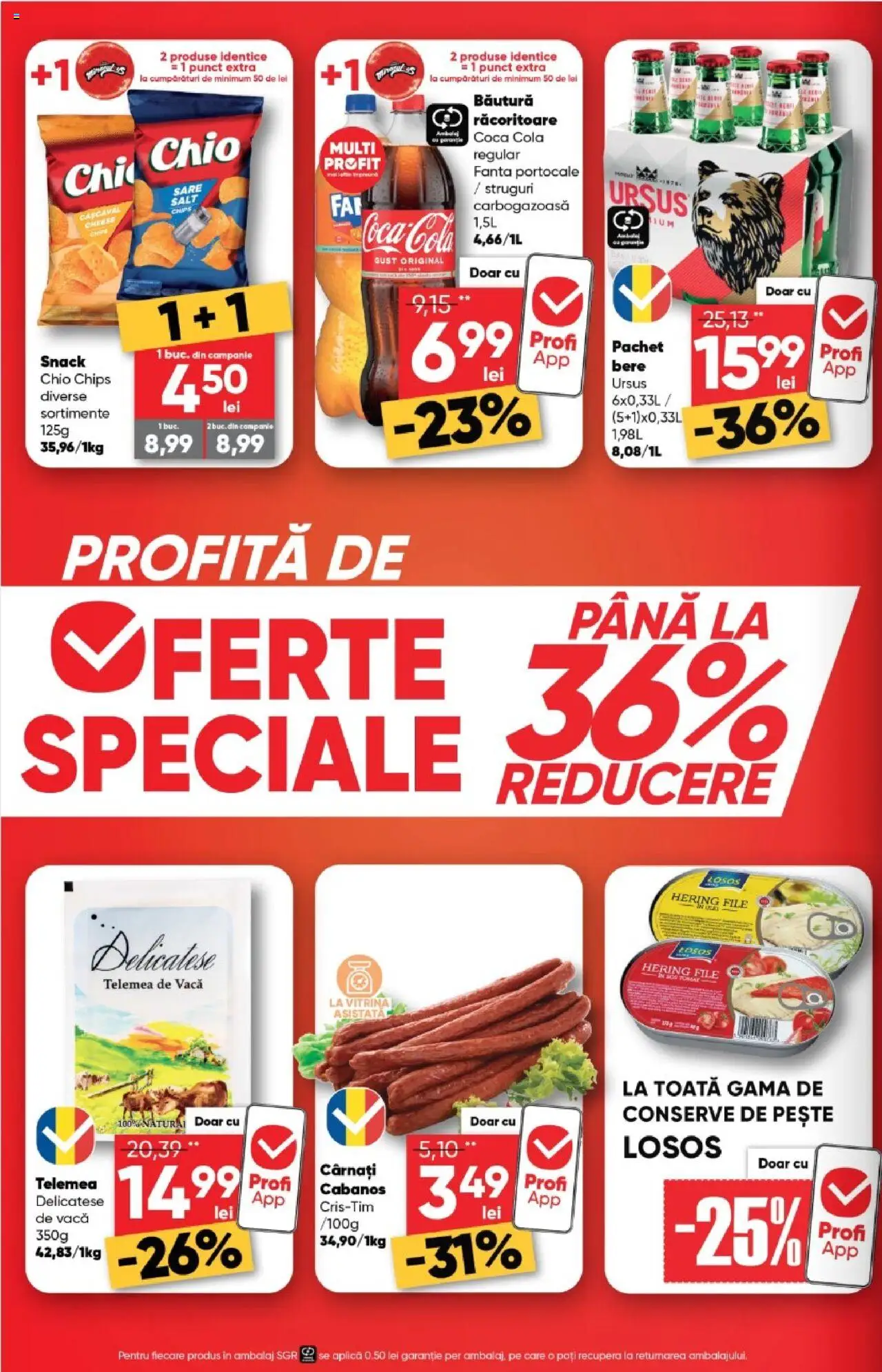 Catalog Profi Loco – valabil de la 20.08.2025 | Pagină: 2 | Produse: Struguri, Farine, Bere, Sare