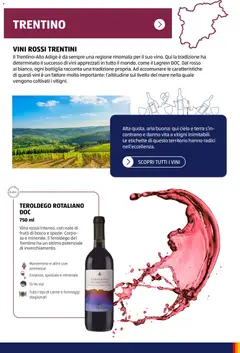 Anteprima del volantino Aldi Vinoteca catalogo valido a partire dal 12.01.2026 | Pagina: 17